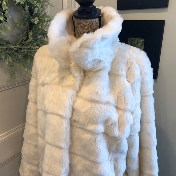 Jacket - Picture 4 of 6